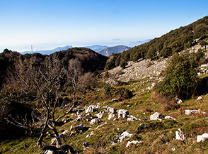Scorcio di paesaggio alle pendici del Monte Ferrazzano.