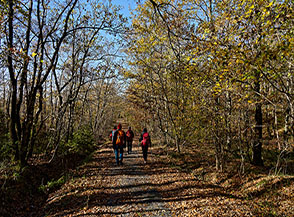 Nei boschi di quercia della Riserva naturale di Monte Rufeno.