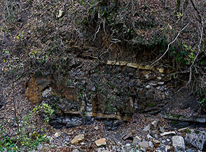 Stratificazione rocciosa allo scoperto nel Fosso Acquachiara.