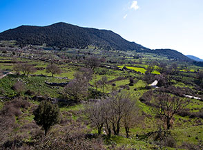 Vista sui campi di Stingo ed il Monte Sacro.