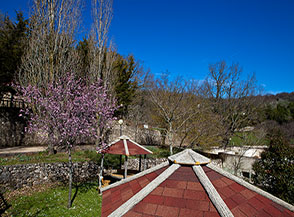 Scorcio sui giardini all&rsquo;Agriturismo Monte Sacro.