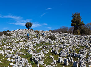 Tratto iniziale del sentiero per Monte Sacro in localit&agrave; Stingo.