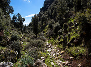 Il fosso di Valle della Vecchia nel tratto superiore.