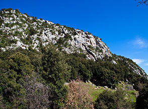 Scorcio sul fianco vallivo nel tratto centrale di Valle della Vecchia.