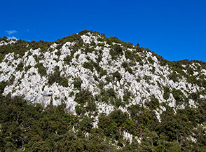 Scorcio sul fianco vallivo nel tratto centrale di Valle della Vecchia.
