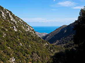 Vista su Valle della Vecchia che prosegue la sua discesa verso il mare.