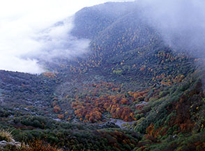 Affaccio a nord dalla ripida Cresta Sud-Est del Gemma.