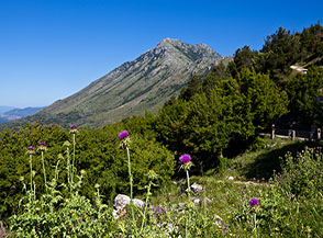 Vista sul Monte Sambucaro dal Passo Annunziata Lunga.