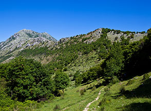 Scorcio lungo il sentiero che ci guida sulla Cresta Sud-Est del Sambucaro.