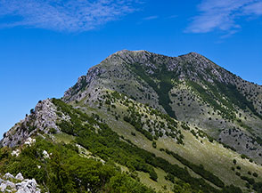 Tratto sommitale della Cresta Sud-Est del Sambucaro che s&rsquo;impenna verso la cima del monte.