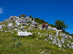 Scorcio nel tratto centrale della Cresta Sud-Est del Sambucaro.