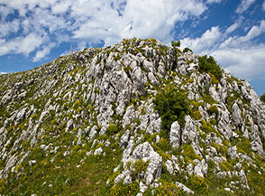 Dalla Cresta Sud-Est del Sambucaro in vista della cima.