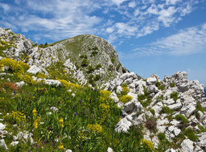 Scorcio dalla Cresta Ovest del Sambucaro verso la cima.