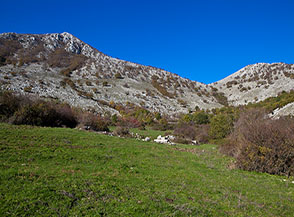 I verdi prati che s&rsquo;incontrano, risalendola, al centro della Valle Moresco.