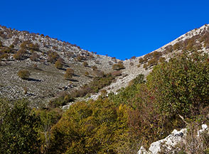 Verso la selletta apicale alla testata della Valle Moresco.