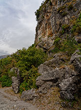 Lungo il Sentiero di San Biagio sul fianco occidentale del monte.