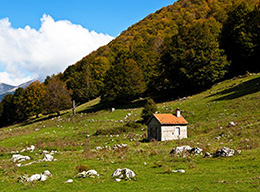 Monte San Nicola e Colle Consolito