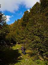 Breve squarcio nella faggeta della Valle Fredda alle pendici del Monte San Nicola.