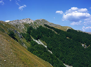 Il Bosco di San Giovanni che si spinge fin sotto la cresta di Monte San Rocco e Monte Cava.