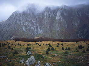 I pendii di Monte Savino che scendono nella Gole di Celano di fronte alla Serra di Curti.