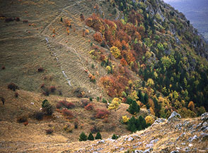 L&rsquo;ampio Valico di Prato Cerro.