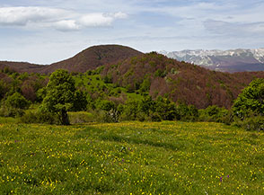 Scorcio sui pascoli dell&rsquo;Annunziata in fiore.