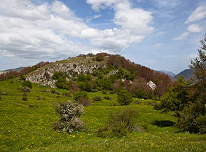 Scorcio primaverile sui pascoli dell&rsquo;Annunziata.