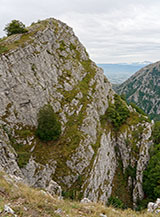 La cima del Monte Savina da nord.