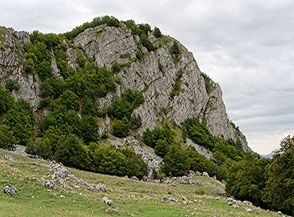 Il precipite fianco della Cresta Nord del Monte Savina.