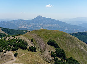 Panorama dal Monte Sirino verso est: in primo piano Timpa Schiena d&rsquo;Asino, sullo sfondo il Monte Alpi.