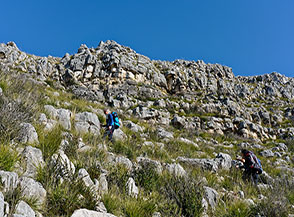 Fasce rocciose pi&ugrave; o meno pronunciate si susseguono durante la salita sul versante meridionale di Monte Sorgenza.