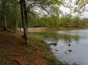 Le sponde del Lago Maulazzo in una piovigginosa giornata invernale.