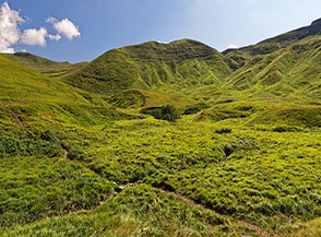 I verdi prati, tappezzati di mirtilli, del Circo della Calanca al Corno alle Scale.