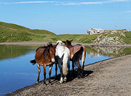 Monte Spigolino e Corno alle Scale