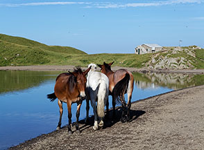 &ldquo;L&rsquo;escluso&ldquo; (in riva al Lago Scaffaiolo).