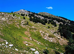 Monte Sterpi d'Alto e Cima di Passo Cavuto