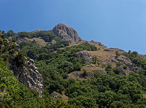 Sopra di noi il domo roccioso del Taburno si eleva isolato sul profilo della montagna.