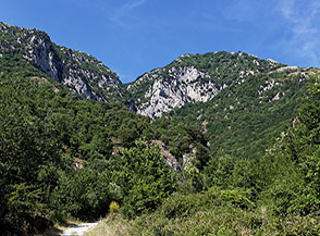 Uscita dal bosco sotto la Grotta di San Simeone.
