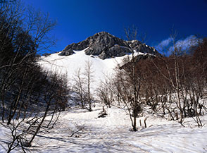 All&rsquo;uscita dal bosco nella parte alta della Valle del Picco, sopra Fontenova.