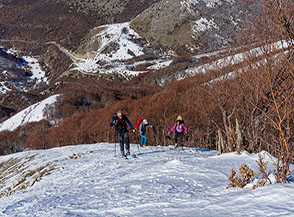 &ldquo;Uno sci dopo l&rsquo;altro&ldquo; (risalita dalla Valle Castello verso il Monte Tilia).