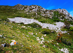 Appena usciti dal bosco di Costa Mercante il sentiero sale in un grazioso valloncello.