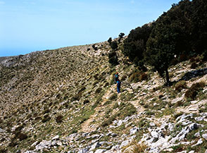 Uscito dal bosco il sentiero si direge verso la gobba di Pelara (Monte Tuonaco).