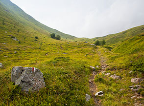 All&rsquo;uscita del bosco nella Valle del Dolo verso il Passo di Lama Lite.