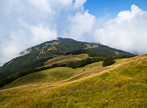 Sui dolci pendii prativi del versante occidentale del Monte Ventasso.