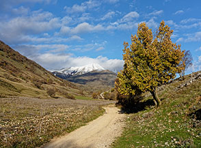 All&rsquo;inizio della gita sul fondo di Vallelanci.