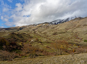 Vista sul prativo Vallone di Forca alle pendici meridionali del Monte Briccialone (nascosto tra le nubi sulla dx).
