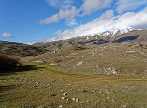 Scorcio di paesaggio ai piedi del Colle Petto della Corte.