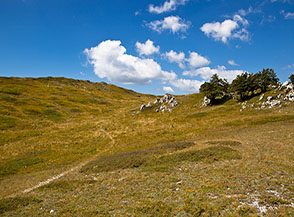 Sui prati sotto la cima di Monte Viperella (sullo sfondo).