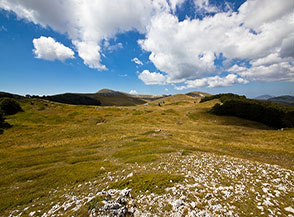 Il piccolo altopiano prativo che lambisce la cima del Monte Viperella.