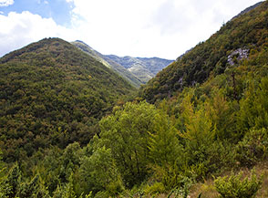 Vista sul boscoso Vallone della Serra dai prati di San Vito Vecchio.